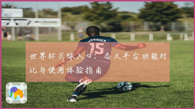 世界杯买球入口：各大平台功能对比与使用体验指南