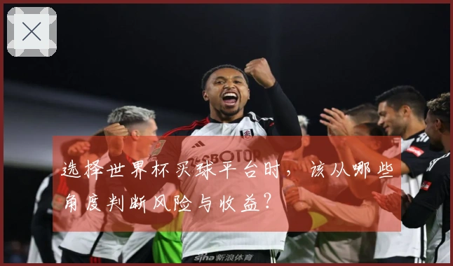选择世界杯买球平台时，该从哪些角度判断风险与收益？