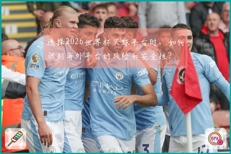 选择2026世界杯买球平台时，如何识别海外平台的风险和安全性？