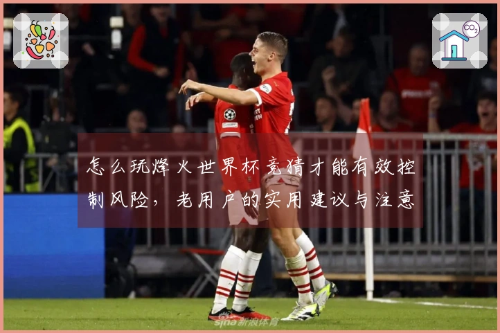 怎么玩烽火世界杯竞猜才能有效控制风险,老用户的实用建议与注意事项