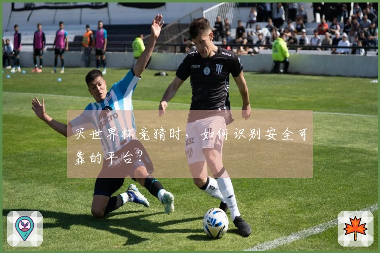买世界杯竞猜时，如何识别安全可靠的平台？