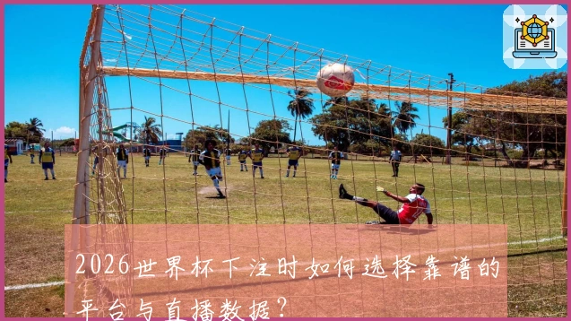 2026世界杯下注时如何选择靠谱的平台与直播数据？