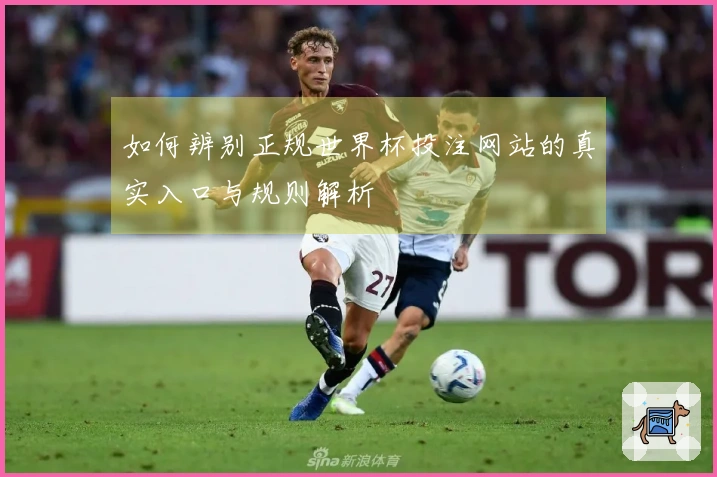 如何辨别正规世界杯投注网站的真实入口与规则解析