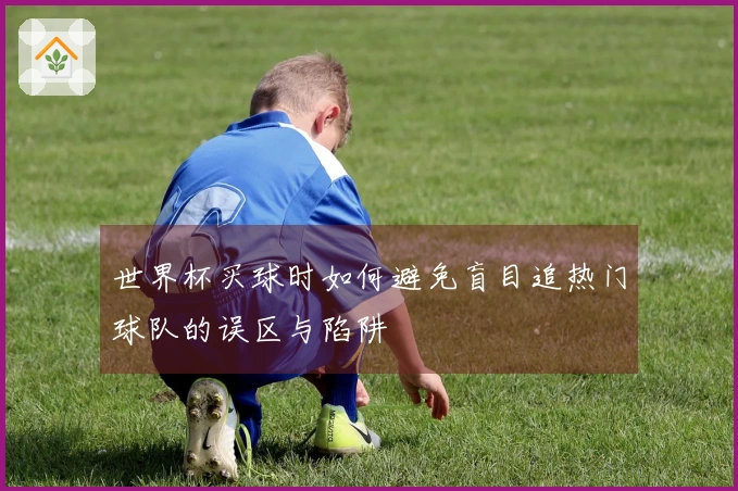 世界杯买球时如何避免盲目追热门球队的误区与陷阱
