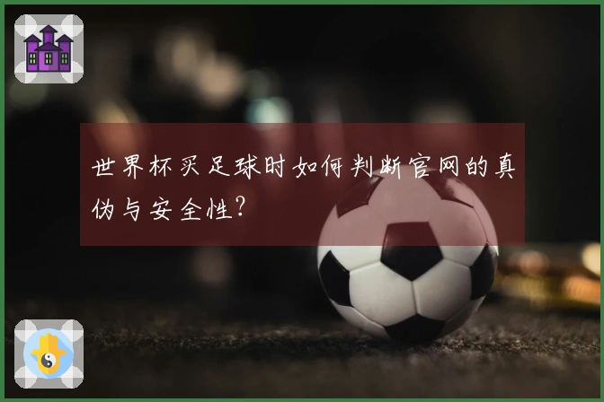 世界杯买足球时如何判断官网的真伪与安全性？