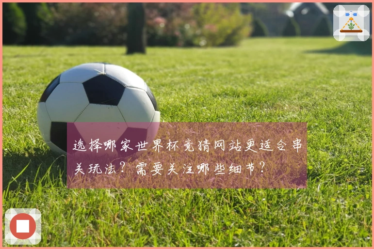 选择哪家世界杯竞猜网站更适合串关玩法？需要关注哪些细节？