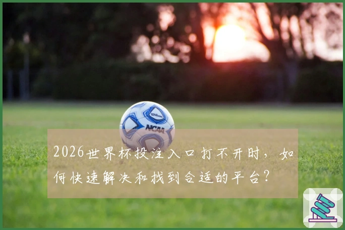 2026世界杯投注入口打不开时，如何快速解决和找到合适的平台？
