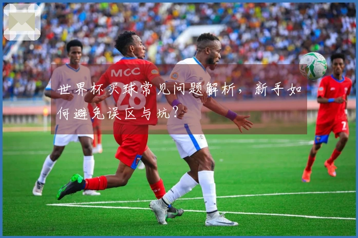 世界杯买球常见问题解析，新手如何避免误区与坑？