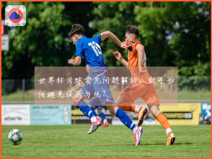世界杯买球常见问题解析，新手如何避免误区与坑？