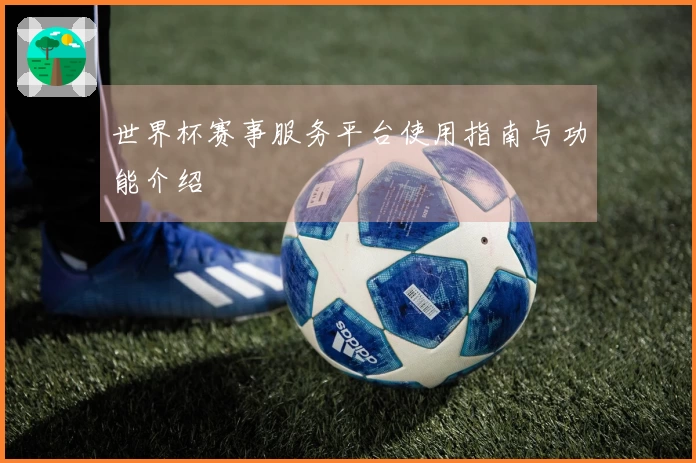 世界杯赛事服务平台使用指南与功能介绍
