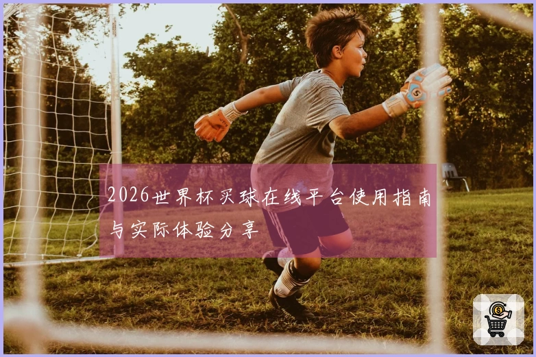 2026世界杯买球在线平台使用指南与实际体验分享