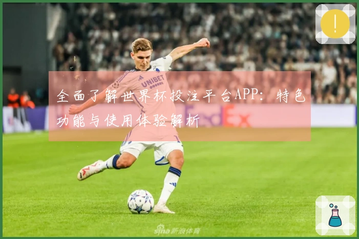 全面了解世界杯投注平台APP：特色功能与使用体验解析