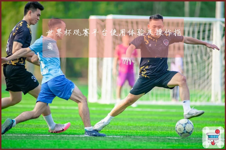 世界杯观赛平台使用体验及操作指南