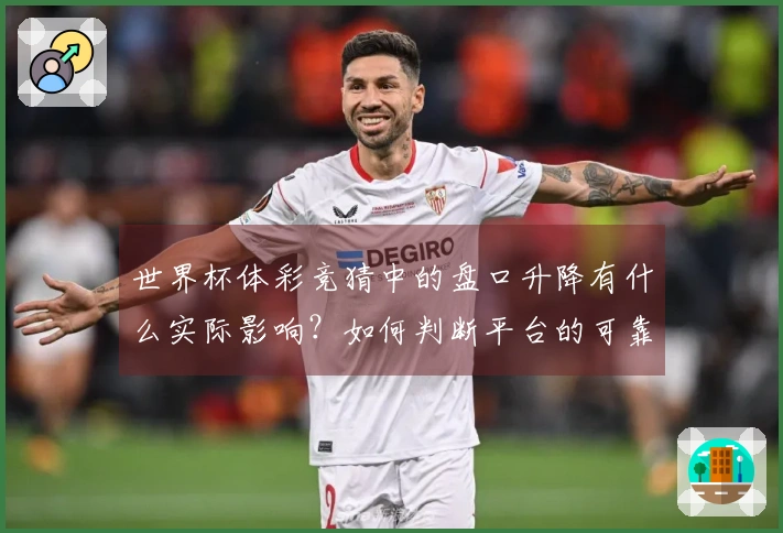 世界杯体彩竞猜中的盘口升降有什么实际影响？如何判断平台的可靠性和规则？
