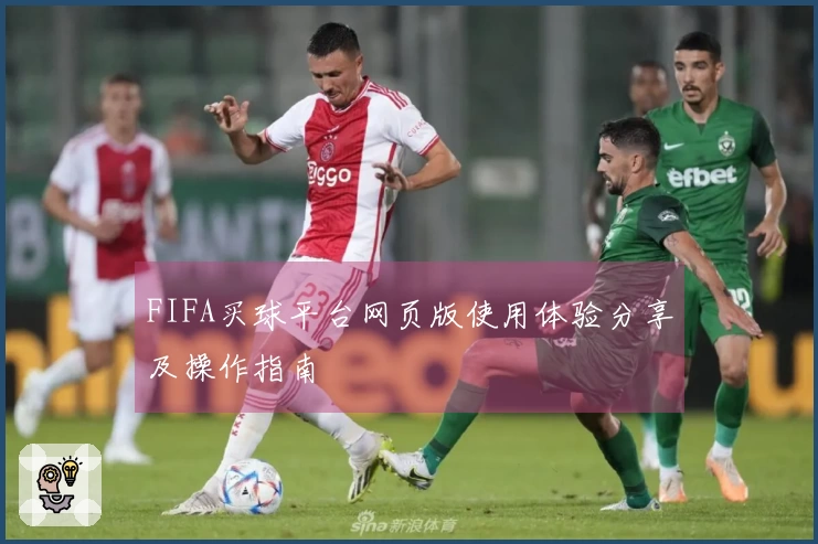 FIFA买球平台网页版使用体验分享及操作指南