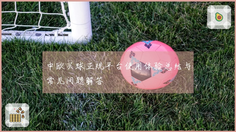 中欧买球正规平台使用体验总结与常见问题解答
