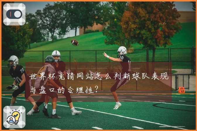 世界杯竞猜网站怎么判断球队表现与盘口的合理性？