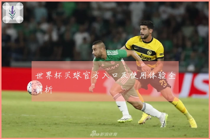 世界杯买球官方入口及使用体验全解析