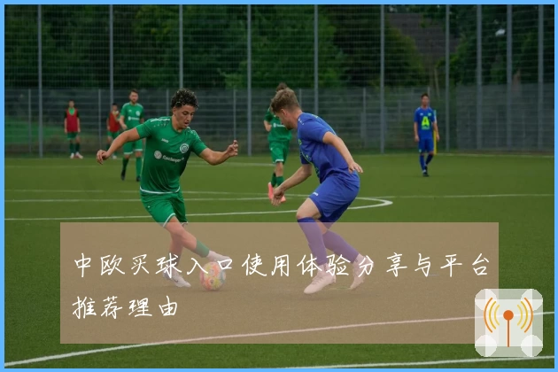 中欧买球入口使用体验分享与平台推荐理由