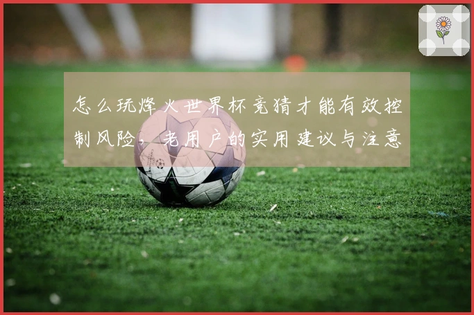 怎么玩烽火世界杯竞猜才能有效控制风险，老用户的实用建议与注意事项