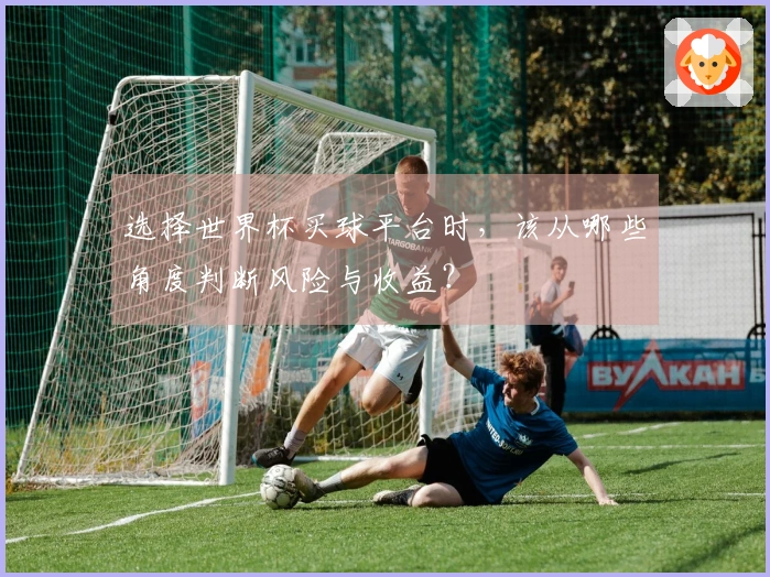 选择世界杯买球平台时，该从哪些角度判断风险与收益？