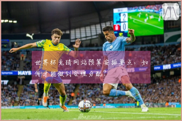 世界杯竞猜网站预算安排要点，如何才能做到合理分配？